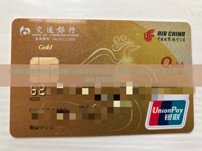 小象优品逾期协商还款晚几天都不行怎么办