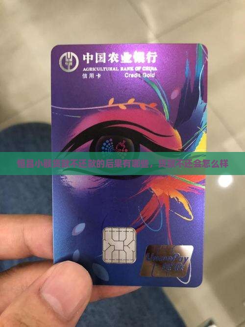 恒昌小额贷款不还款的后果有哪些