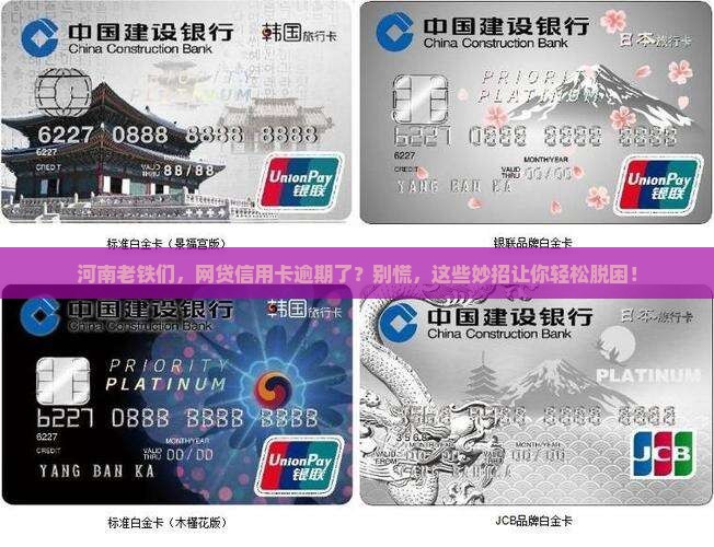 河南网贷信用卡逾期怎么办解决方法