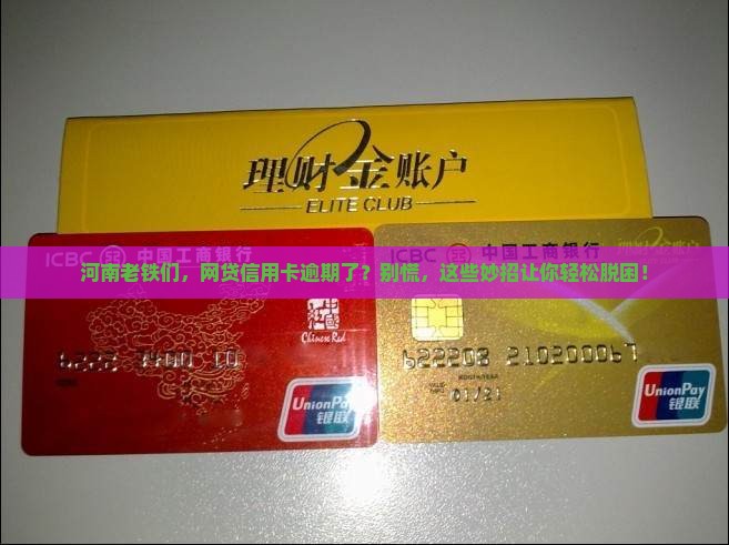 河南网贷信用卡逾期怎么办解决方法