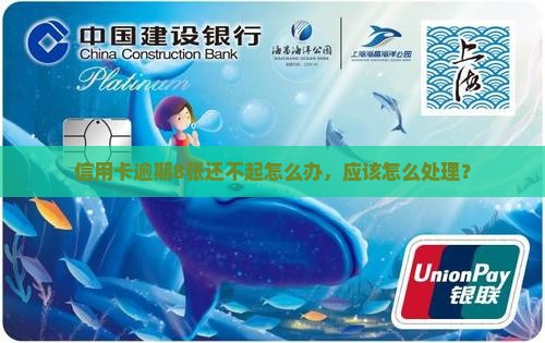 8张信用卡还不起
