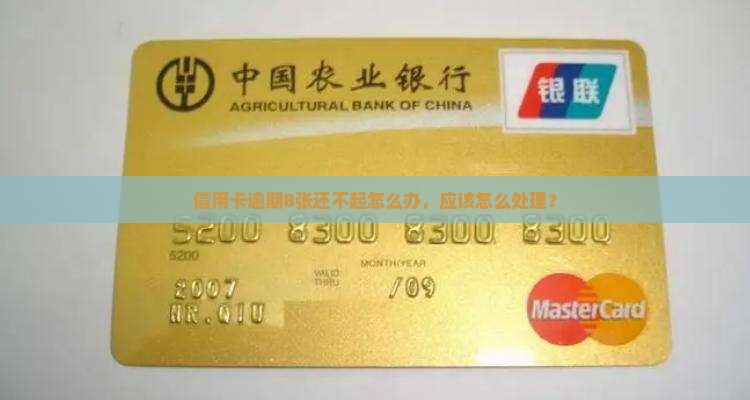 8张信用卡还不起