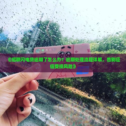 招联闪电贷逾期处理流程详解