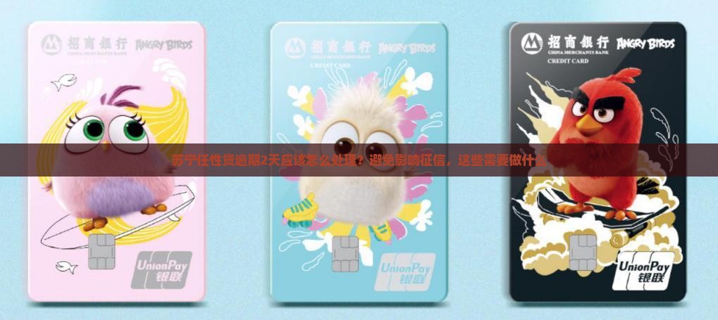 苏宁任性贷逾期2天应该怎么处理