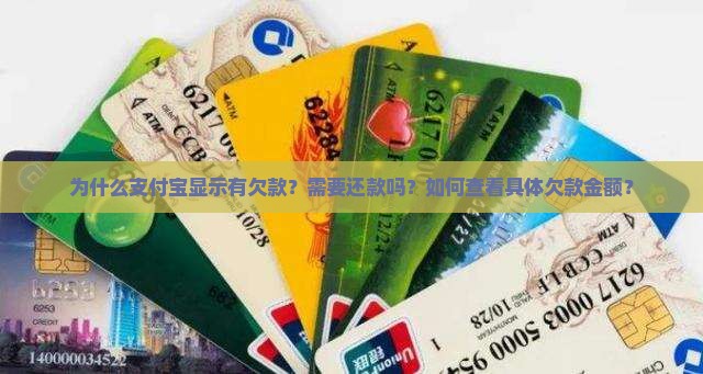 你们支付宝欠了多少钱需要还款吗