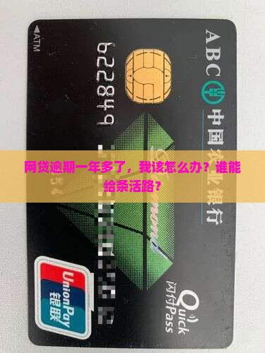各种网贷逾期一年多了怎么办