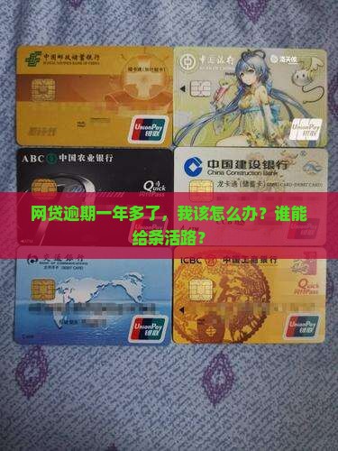 各种网贷逾期一年多了怎么办