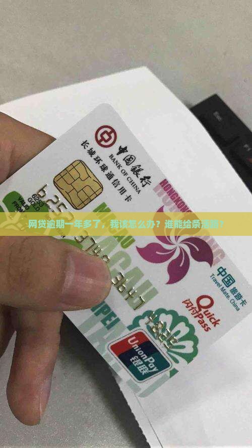各种网贷逾期一年多了怎么办