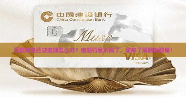 百度钱包还款逾期