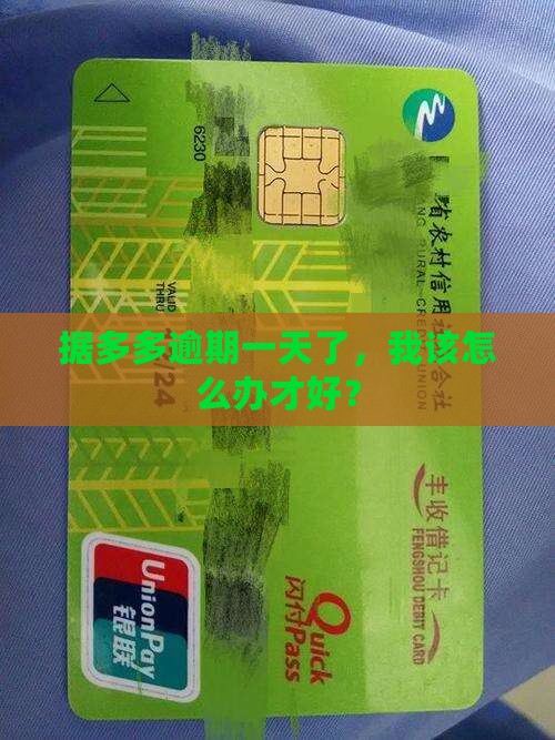据多多逾期一天该怎么处理