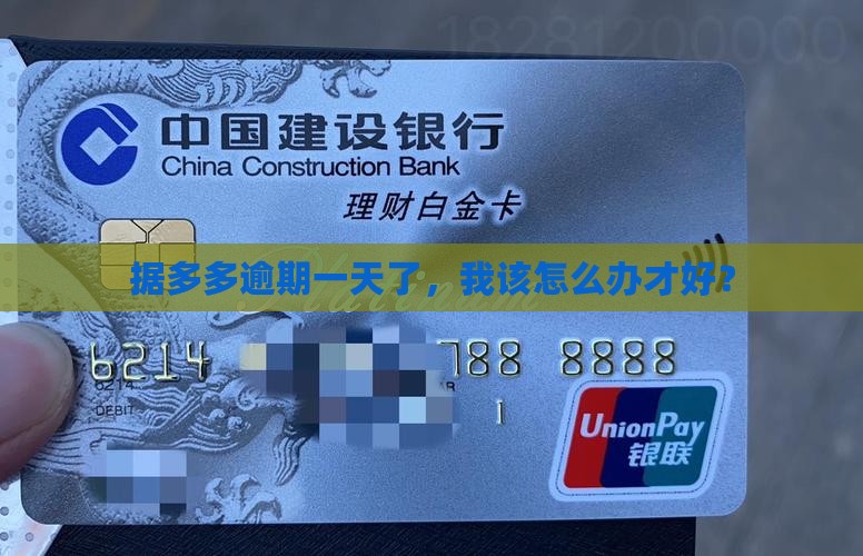 据多多逾期一天该怎么处理