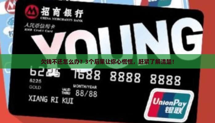 借款不还了有哪些法律后果
