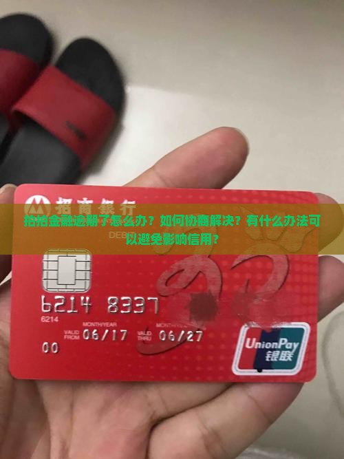 拍拍金融逾期协商解决办法有哪些