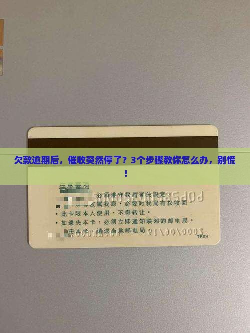 逾期停止催收怎么办理