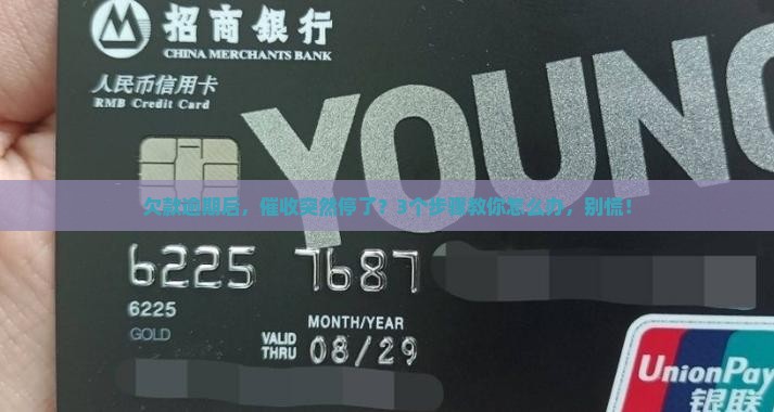 逾期停止催收怎么办理