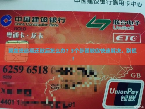 翼龙贷逾期还款后的处理流程