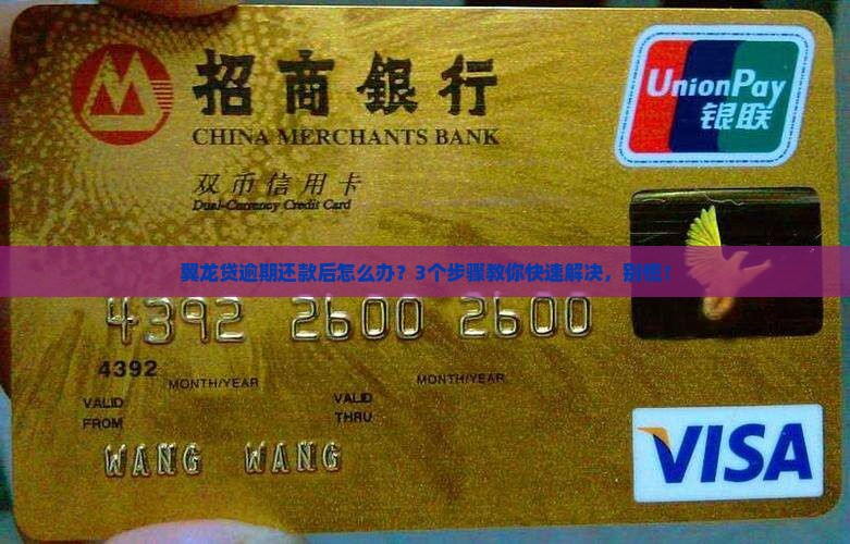 翼龙贷逾期还款后的处理流程
