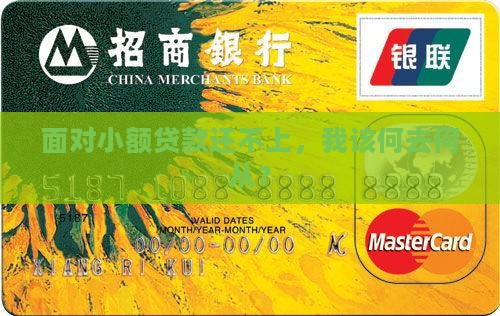 小额贷款没能力偿还应该怎么处理