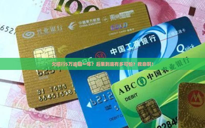 2016年欠招商银行5万逾期1年后果严重吗