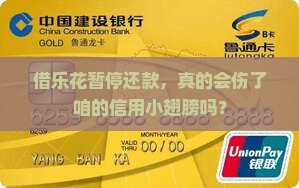 借乐花暂停还款会对个人信用有何影响