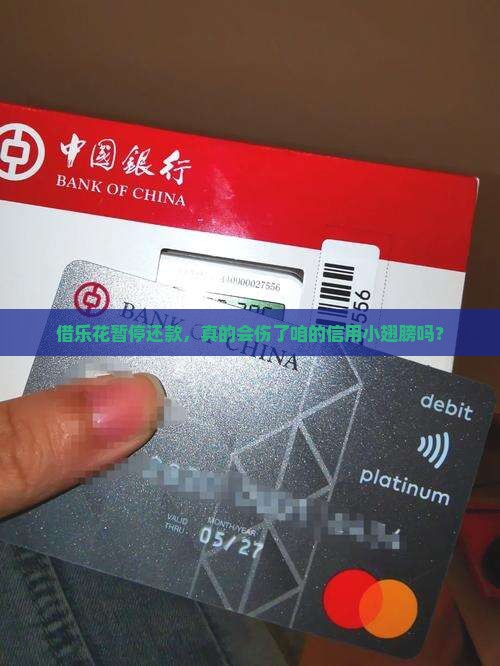 借乐花暂停还款会对个人信用有何影响