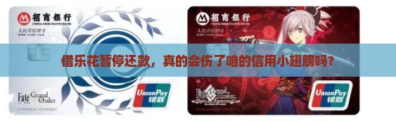 借乐花暂停还款会对个人信用有何影响