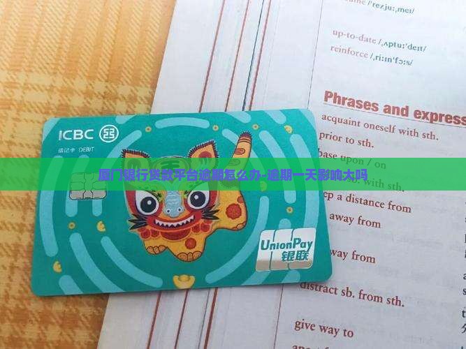 厦门银行贷款平台逾期