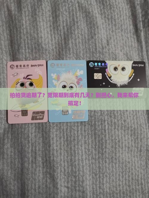 拍拍贷逾期宽限期有多少天