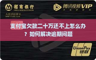 支付宝欠款20万元怎么办 支付宝欠款20万元怎么办