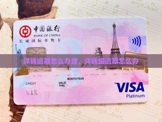 2024洋钱罐逾期怎么办理