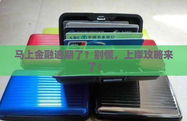 马上金融逾期上岸