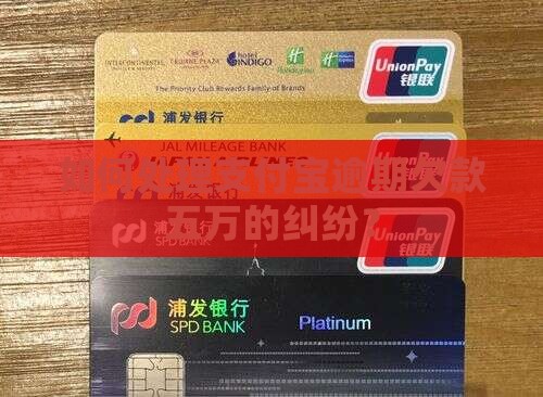 如何处理欠支付宝5万的纠纷