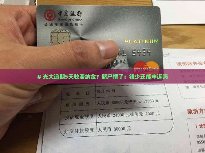 光大逾期5天收取滞纳金
