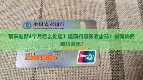 京东白条逾期4个月怎么处理