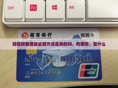 短信报备借款逾期方法