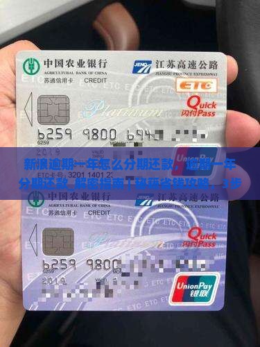新浪逾期一年怎么办理分期还款