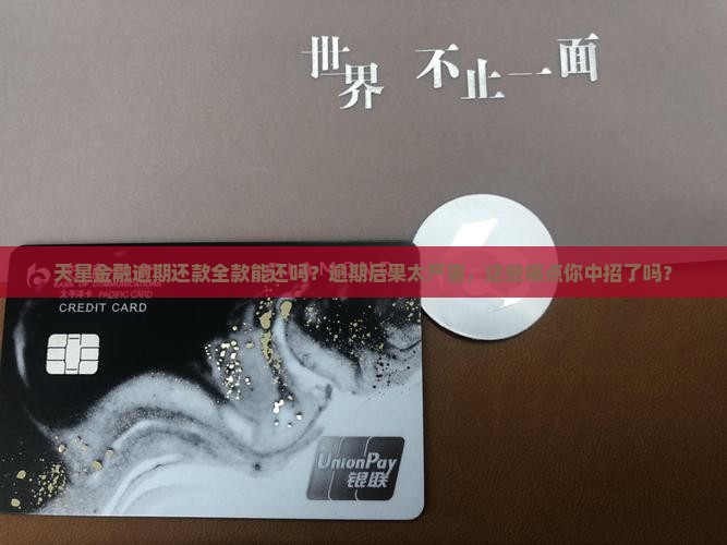 天星金融逾期还款全款详情解析