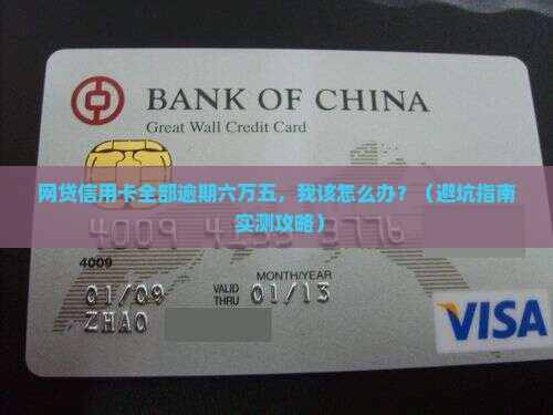 网贷信用卡全部逾期六万五问题解答