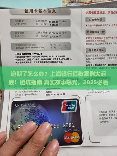 上海各银行借款逾期案例分析及处理方式