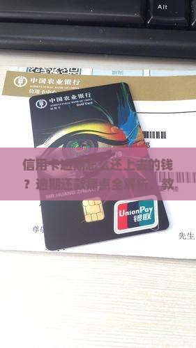 信用卡逾期怎么还上去的钱