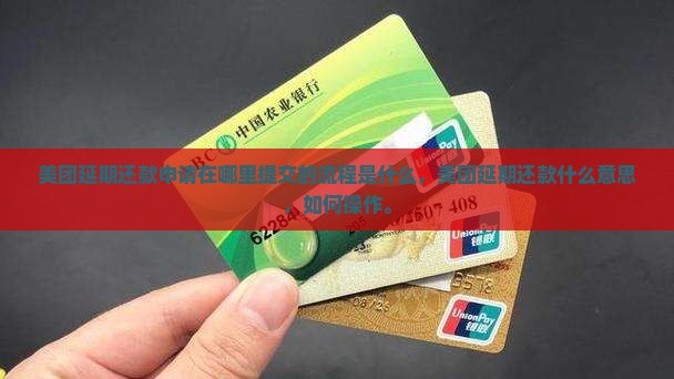美团延期还款申请在哪里提交的流程是什么 美团延期还款申请在哪里提交的流程是什么