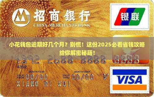 小花钱包逾期几个月如何处理