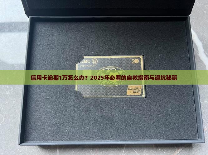 信用卡逾期1w怎么办解决方法