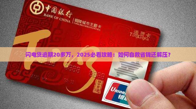 闪电贷逾期20多万怎么办