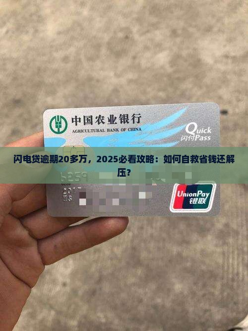 闪电贷逾期20多万怎么办