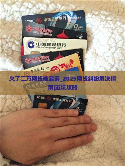 欠了二万网贷被起诉