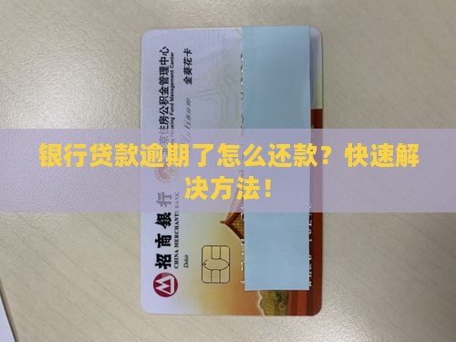 银行贷款逾期了怎么还款