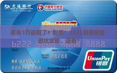 京东白条逾期1万元怎么办及相关问题