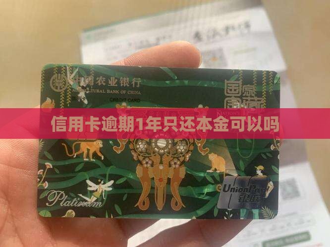 信用卡逾期1年只还本金