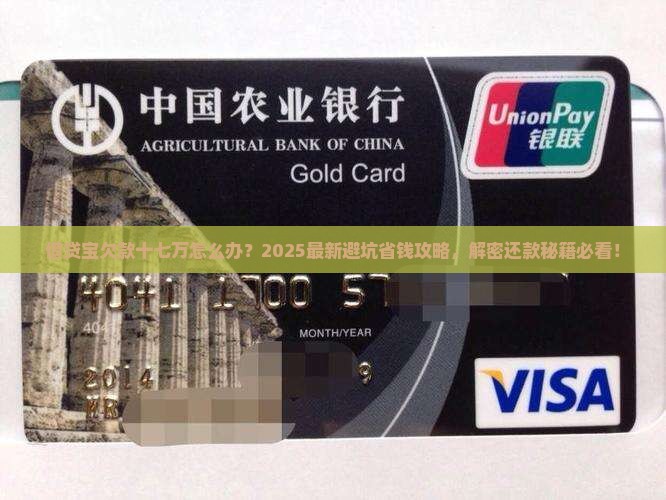 借贷宝欠款十七万怎么办